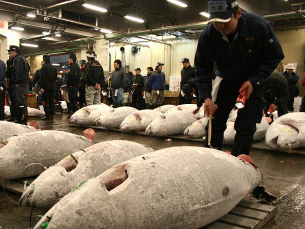 Hàn Quốc không bỏ lệnh cấm nhập khẩu thủy sản từ Nhật Bản ảnh 1