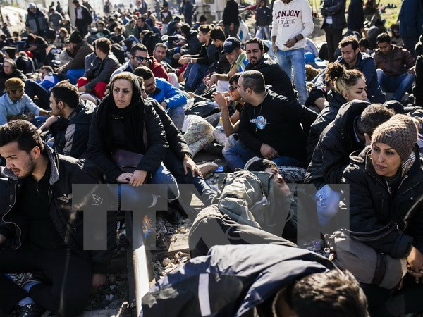 Canada công bố kế hoạch tiếp nhận 25.000 người tị nạn Syria ảnh 1