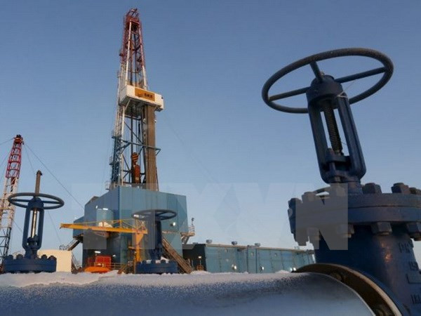 Iran sẵn sàng hợp tác với các công ty năng lượng nước ngoài ảnh 1