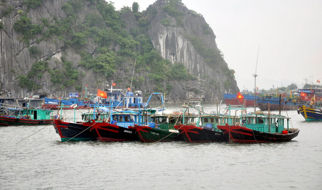 Thái Bình và Quảng Ninh khẩn trương ứng phó cơn bão số 1 ảnh 1