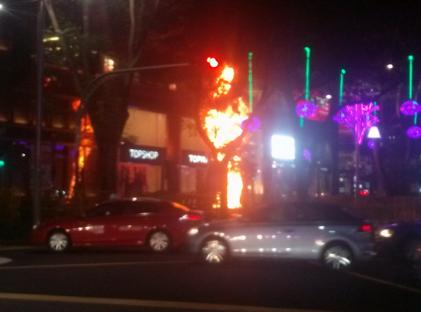 Singapore: Cây thông Noel khu trung tâm mua sắm bất ngờ bốc cháy ảnh 1