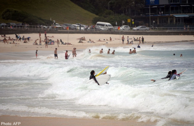 Cá mập trắng khiến hàng loạt bãi biển ở Australia phải đóng cửa ảnh 1