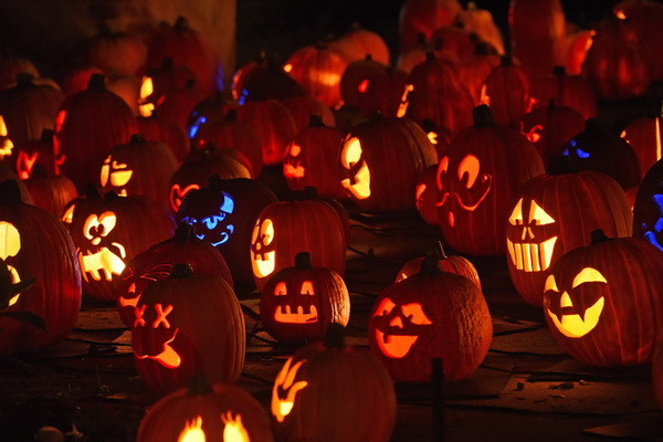 [Photo] Độc đáo triển lãm đèn bí ngô nhân dịp Halloween 2014 ảnh 1