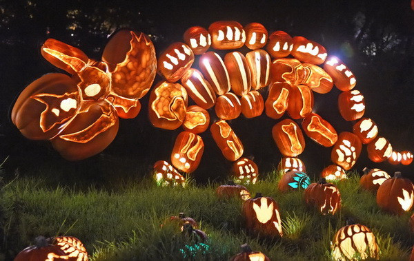 [Photo] Độc đáo triển lãm đèn bí ngô nhân dịp Halloween 2014 ảnh 3