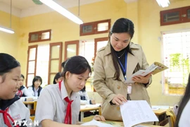 Ảnh minh họa. (Nguồn: TTXVN)