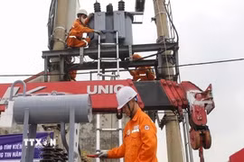 (Nguồn: EVN)