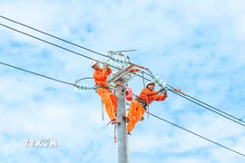 Công nhân Tổng Công ty Điện lực Miền Trung kiểm tra, sửa chữa hệ thống điện đảm bảo vận hành an toàn và đáp ứng điện cho khách hàng. (Ảnh: TTXVN)