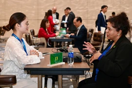 Các doanh nghiệp Việt Nam và New Zealand đã tham gia phiên kết nối trực tiếp B2B để tìm kiếm cơ hội hợp tác kinh doanh. (Ảnh: PV/Vietnam+)