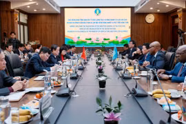 Bộ trưởng Bộ Nông nghiệp và Phát triển nông thôn Lê Minh Hoan làm việc với đoàn lãnh đạo cấp cao của FAO. (Ảnh: Bộ Nông nghiệp và Phát triển nông thôn)
