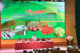 Diễn đàn Khuyến nông @ liên kết sản xuất và tiêu thụ sản phẩm nông nghiệp được tổ chức tại huyện Mê Linh, Hà Nội. (Ảnh: PV/Vietnam+)