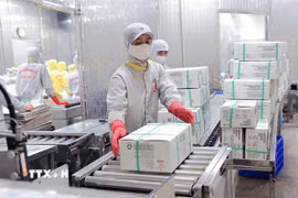 Trong tháng Ba, chỉ số sản xuất công nghiệp ước tính tăng tới 18,8% so với tháng trước. (Ảnh: TTXVN)