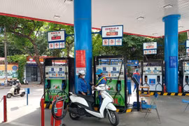 PVOIL đã triển khai kinh doanh thử nghiệm xăng E10 tại một số địa phương và 4 thành phố lớn từ tháng 8/2025 với gần 100 cửa hàng xăng dầu. (Ảnh: CTV/Vietnam+)