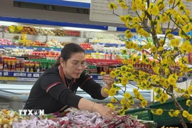 Người dân lựa chọn hàng hóa tại các siêu thị. (Ảnh: Đinh Hương/TTXVN)