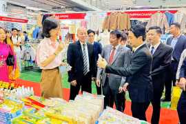 VIETLAO EXPO 2026 có quy mô 250 gian hàng tiêu chuẩn. (Ảnh: CTV/Vietnam+)