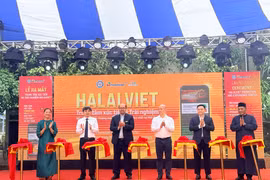 (Ảnh: PV/Vietnam+)