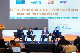 Các đại biểu tham gia thảo luận tại hội thảo. (Ảnh: PV/Vietnam+)