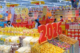 Gian hàng phục vụ Tết nguyên đán Bính Ngọ ở siêu thị GO! Cần Thơ. (Ảnh: Thanh Liêm/TTXVN)
