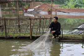 Tiêu chí thu nhập trong chuẩn nghèo đa chiều giai đoạn mới sẽ nâng lên. (Ảnh: PV/Vietnam+)
