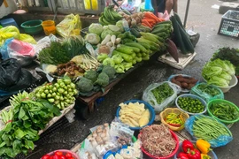 Sau mưa bão, nhiều vùng rau chìm trong nước và hư hại góp phần đẩy giá rau xanh tại Hà Nội tăng cao. (Ảnh: Phương Trang/Vietnam+)