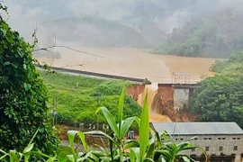 (Ảnh: CTV/Vietnam+)