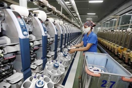 Sản xuất sợi cho thị trường trong nước và xuất khẩu. (Ảnh: Trần Việt/TXVN)