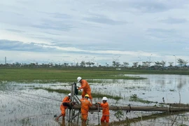 Cán bộ EVN xử lý sự cố và khôi phục cấp điện. (Nguồn: EVN)