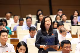 Đại biểu Đoàn Thị Lê An (đoàn Cao Bằng) phát biểu thảo luận tại Quốc hội. (Ảnh: Văn Điệp/TTXVN)
