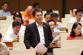Đại biểu Quốc hội tỉnh Lâm Đồng Dương Khắc Mai phát biểu. (Ảnh: Văn Điệp/TTXVN)