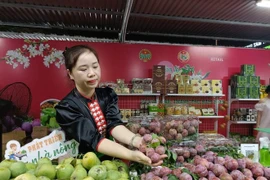 Hội chợ “Made in Vietnam” không chỉ là nơi trưng bày mà còn là không gian giao thương, trải nghiệm văn hóa ẩm thực và trình diễn sản phẩm đặc sắc.. (Ảnh: Đức Duy/Vietnam+)