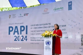 Công bố Báo cáo Chỉ số Hiệu quả quản trị và hành chính công cấp tỉnh năm 2024 (PAPI 2024). (Ảnh: PV/Vietnam+)