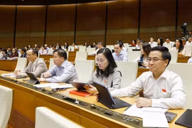 Đoàn đại biểu Quốc hội Thành phố Hải Phòng dự phiên họp. (Ảnh: Doãn Tấn/TTXVN)