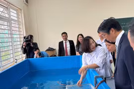 Lồng lưới thực hành nuôi trồng thủy sản được bàn giao cho Trường Cao đẳng Thủy sản và Công nghệ thực phẩm. (Ảnh: CTV/Vietnam+)