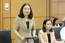 Đại biểu Trương Thị Bích Hạnh, Đoàn Đại biểu Quốc hội Thành phố Hồ Chí Minh phát biểu tại buổi họp tổ ngày 10/4. (Ảnh: PV/Vietnam+)