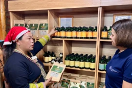 Giới thiệu sản phẩm đặc trưng của đồng bào dân tộc thiểu số. (Ảnh: PV/Vietnam+)