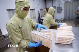 Đóng gói sản phẩm tôm chế biến xuất khẩu đi Nhật Bản. (Ảnh: Hồng Đạt/TTXVN)