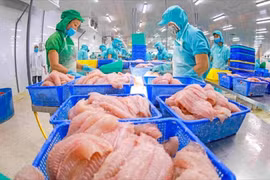 Thủy sản là một trong những lĩnh vực bị tác động lớn bởi mức thuế mới của Mỹ. (Ảnh: PV/Vietnam+)