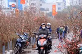 Bộ Nội vụ khuyến khích người sử dụng lao động áp dụng thời gian nghỉ Tết Nguyên đán, nghỉ lễ Quốc khánh năm 2026 cho người lao động như quy định đối với công chức, viên chức. (Ảnh: Anh Tuấn/TTXVN)