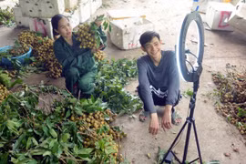 Nông dân Hợp tác xã Dịch vụ Nông nghiệp Ngoan Hậu, xã Chiềng Khương, huyện Sông Mã (Sơn La) đẩy mạnh quảng bá, kết nối tiêu thụ nông sản qua các trang mạng. (Ảnh: Quang Quyết/TTXVN)
