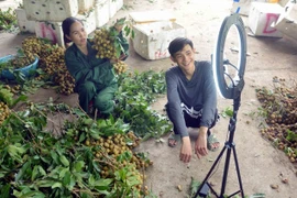 Nông dân Hợp tác xã Dịch vụ Nông nghiệp Ngoan Hậu, xã Chiềng Khương, huyện Sông Mã (Sơn La) đẩy mạnh quảng bá, kết nối tiêu thụ nông sản qua các trang mạng. (Ảnh: Quang Quyết/TTXVN)