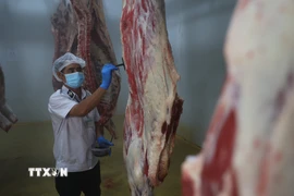 Cán bộ Thú y kiểm tra quy trình, đóng dấu kiểm soát giết mổ. (Ảnh: Thanh Tân/TTXVN)