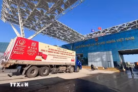 Đối với tài liệu đánh giá rủi ro các sản phẩm liên quan đến Lệnh 280 của Trung Quốc, sản phẩm phải có thư giới thiệu chính thức của cơ quan có thẩm quyền khi đăng ký mã doanh nghiệp. (Ảnh: TTXVN)