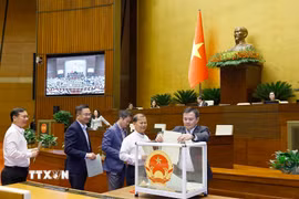 Đại biểu Quốc hội bỏ phiếu sáng ngày 8/4. (Ảnh: Doãn Tấn/TTXVN)