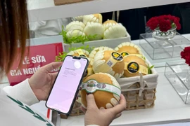 Người tiêu dùng tra cứu nguồn gốc, xuất sứ của sản phẩm. (Ảnh: PV/Vietnam+)