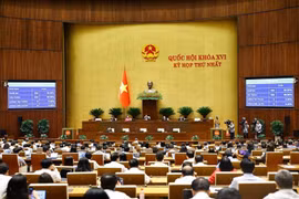 Quốc hội biểu quyết thông qua Luật sửa đổi, bổ sung một số điều của Luật Trợ giúp pháp lý. (Ảnh: Doãn Tấn/TTXVN)