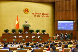 Quốc hội thông qua một số luật và nghị quyết quan trọng. (Ảnh: TTXVN)