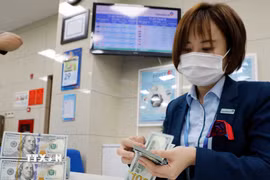 (Ảnh: Trần Việt/TTXVN)