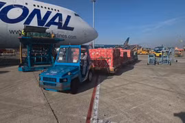 Chuyến bay charter thứ 2 vận chuyển nông sản Việt Nam sang thị trường UAE. (Ảnh: CTV/Vietnam+)