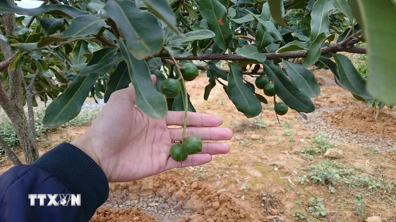 Thủ tướng kêu gọi biến núi rừng Tây Bắc, Trung Du thành cơ sở vật chất phát triển