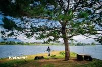 Biển hồ Pleiku, Gia Lai. (Ảnh: Vương Công Nam/Vietnam+)