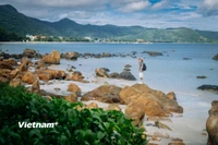 Đặc khu Côn Đảo. (Nguồn: Vietnam+)